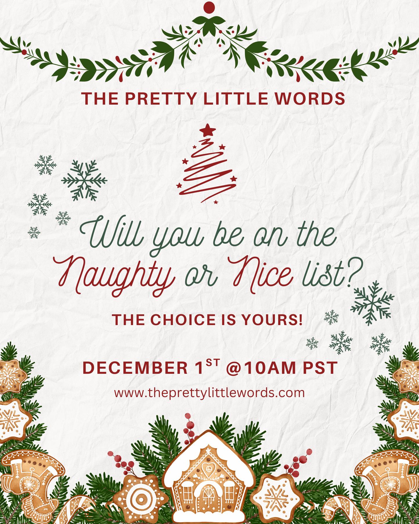 2025 Naughty + Nice List Holiday Book Boxes