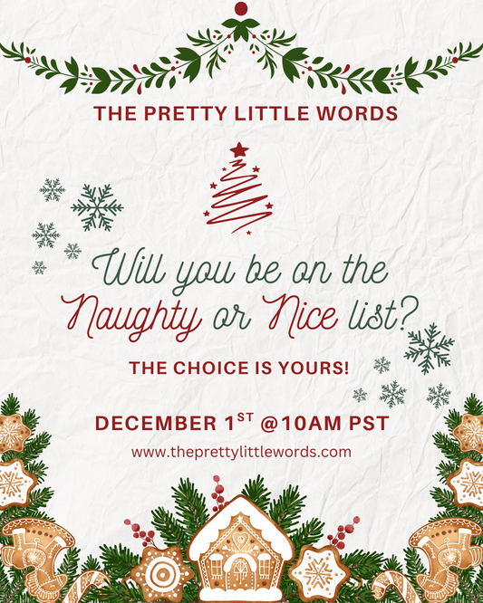 2025 Naughty + Nice List Holiday Book Boxes