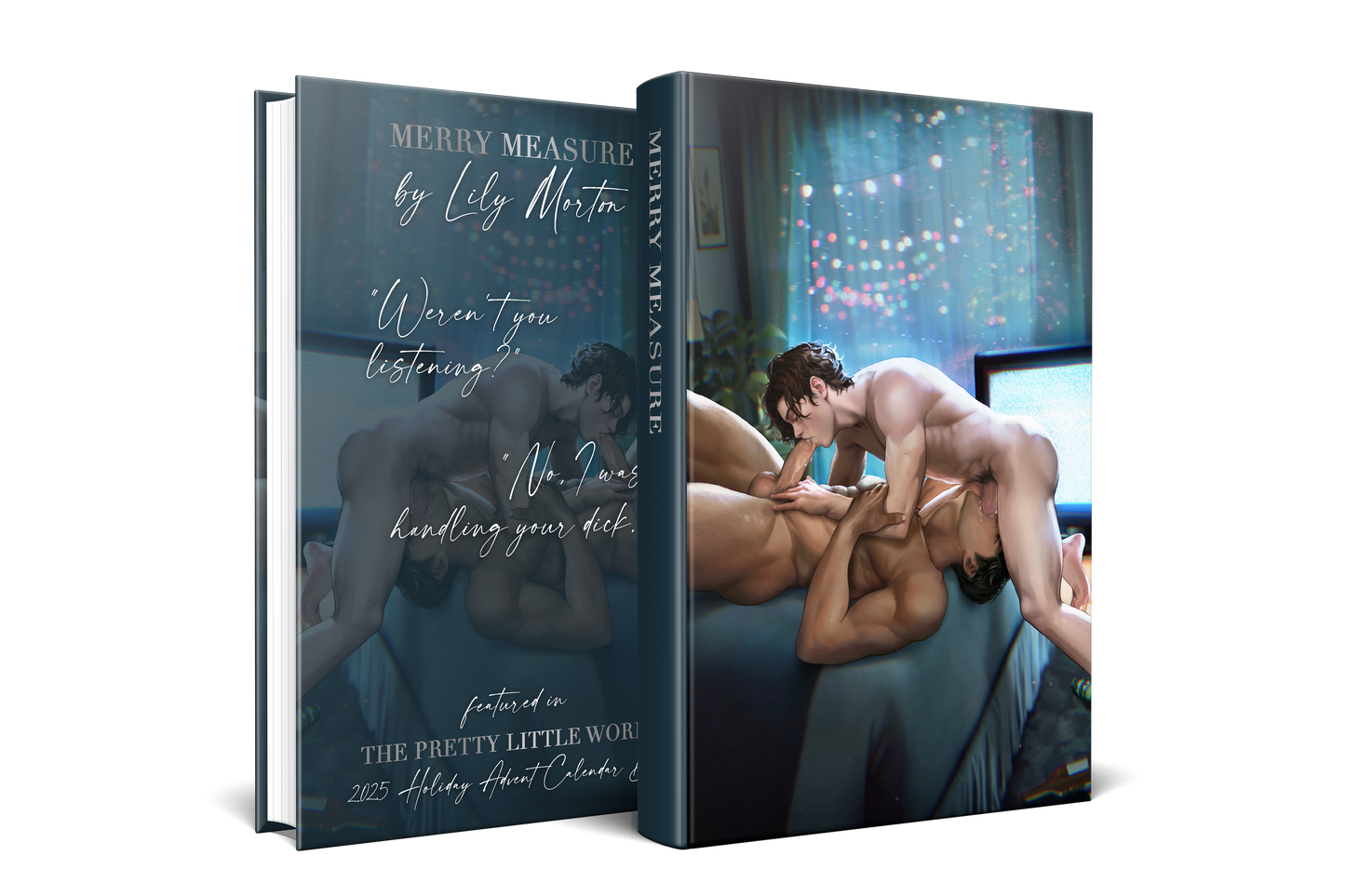 2025 SINGLE HOLIDAY BOX BOOKS