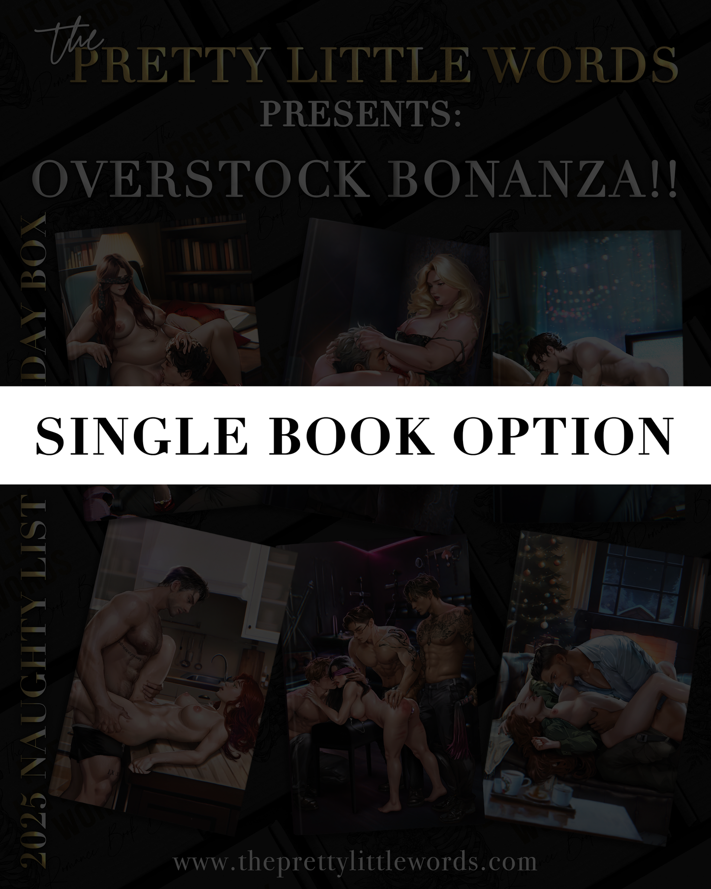 2025 SINGLE HOLIDAY BOX BOOKS