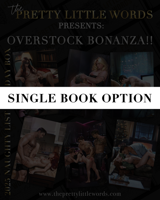 2025 SINGLE HOLIDAY BOX BOOKS